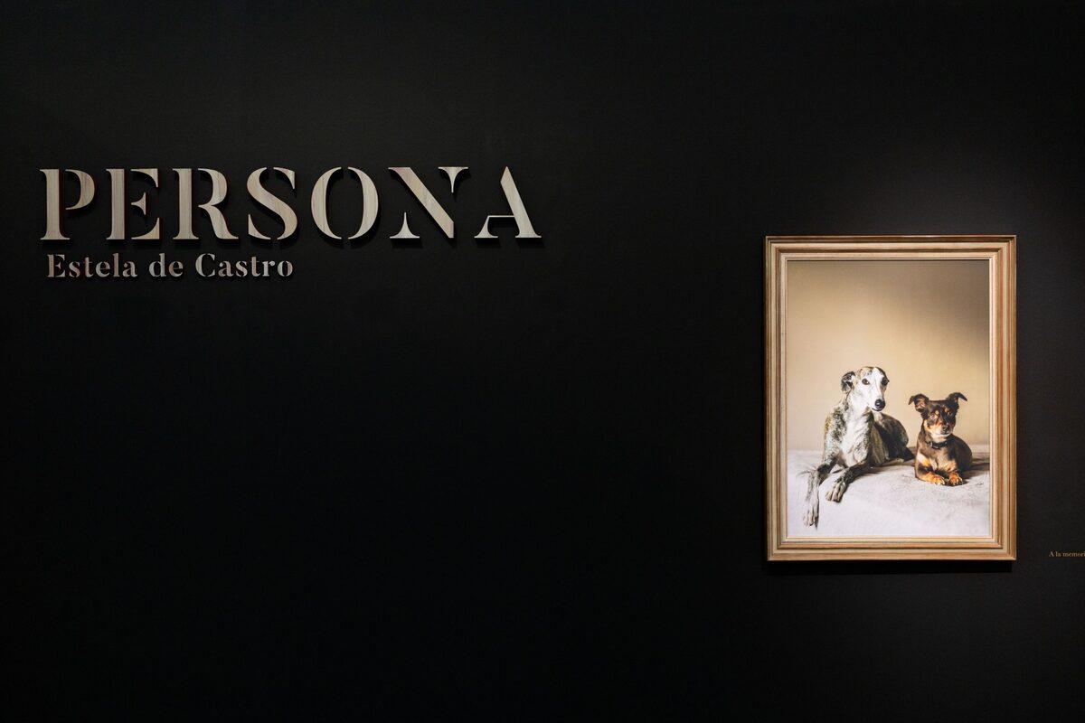 Muro negro de la sala con el título PERSONA y el nombre de Estela de Castro en letras recortadas, y a su derecha un retrato enmarcado de dos perros posando juntos sobre una tela clara.