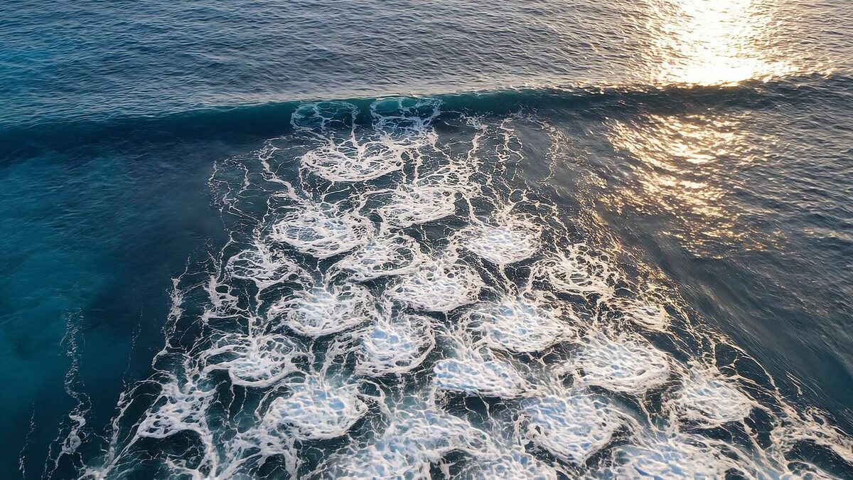 Fotograma del vídeo generado: la espuma de la ola forma un dibujo celular que se repite igual por toda la superficie.