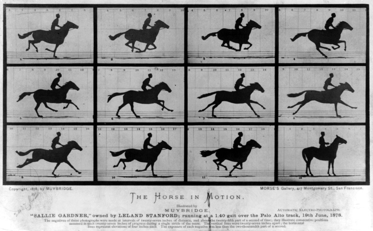 Lámina con doce viñetas en blanco y negro de un caballo al galope con su jinete, en fases sucesivas del movimiento.