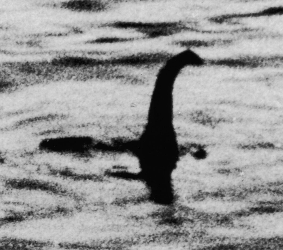 El supuesto cuello del monstruo del lago Ness asomando sobre el agua en calma.