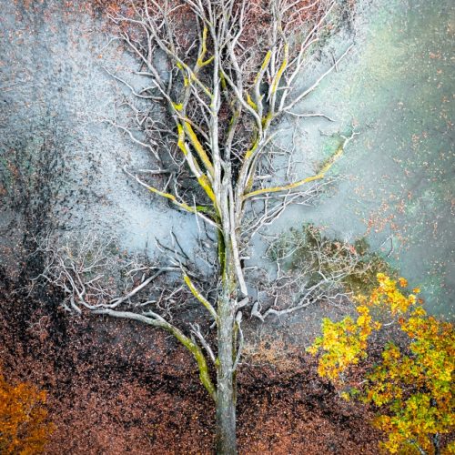 venderfotos-por-internet-drone-photos-fotos-dron-001